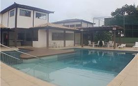Gohouse Flamboyant Bz 02